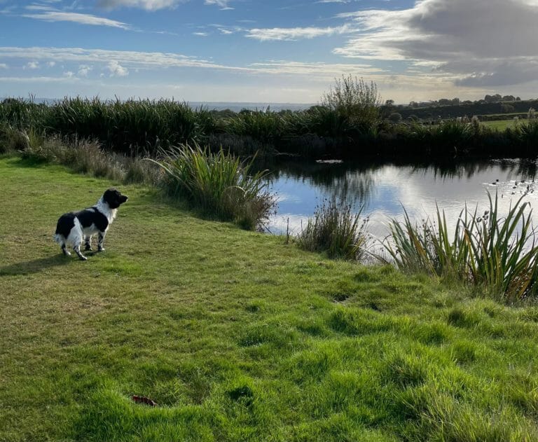 September Water Training Day.