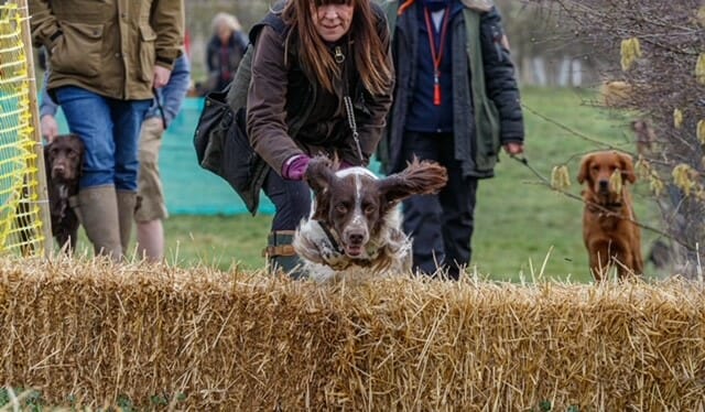 Images from our Recent Scurry Workshop Courses.