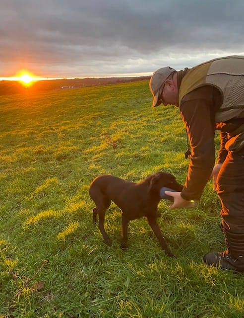 Paul White with a brown dog in a training field