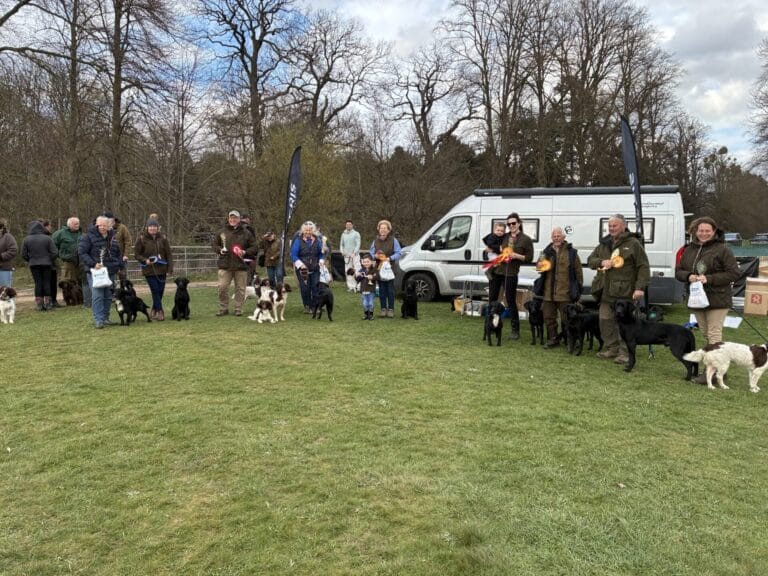 Qualifiers and Award Winners at the Eventing Spring Carnival.