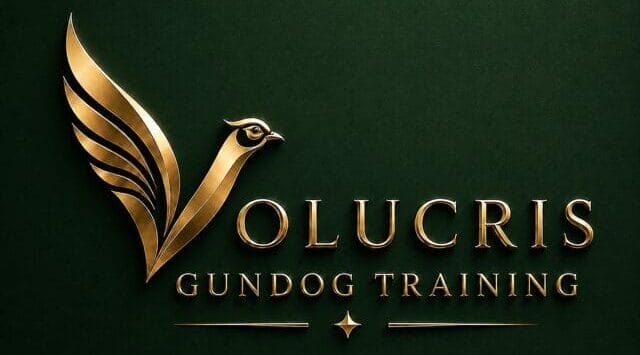 Volucris - Gundog Training