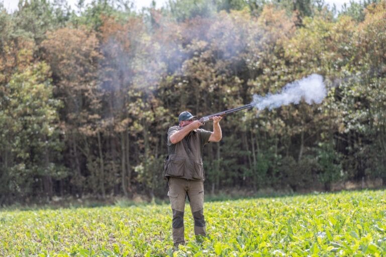 Partridge Shoot