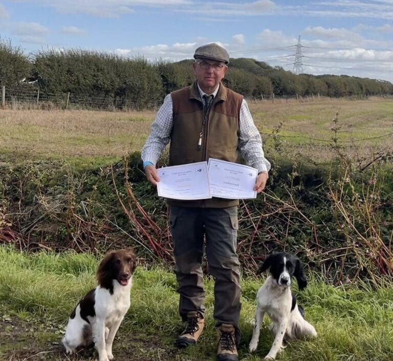 Two young dogs. Two Field Trial Awards.
